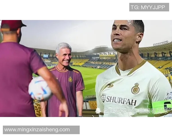 成都乒乓球队速度之争引发热议球迷与专家各执己见探讨技术与战术